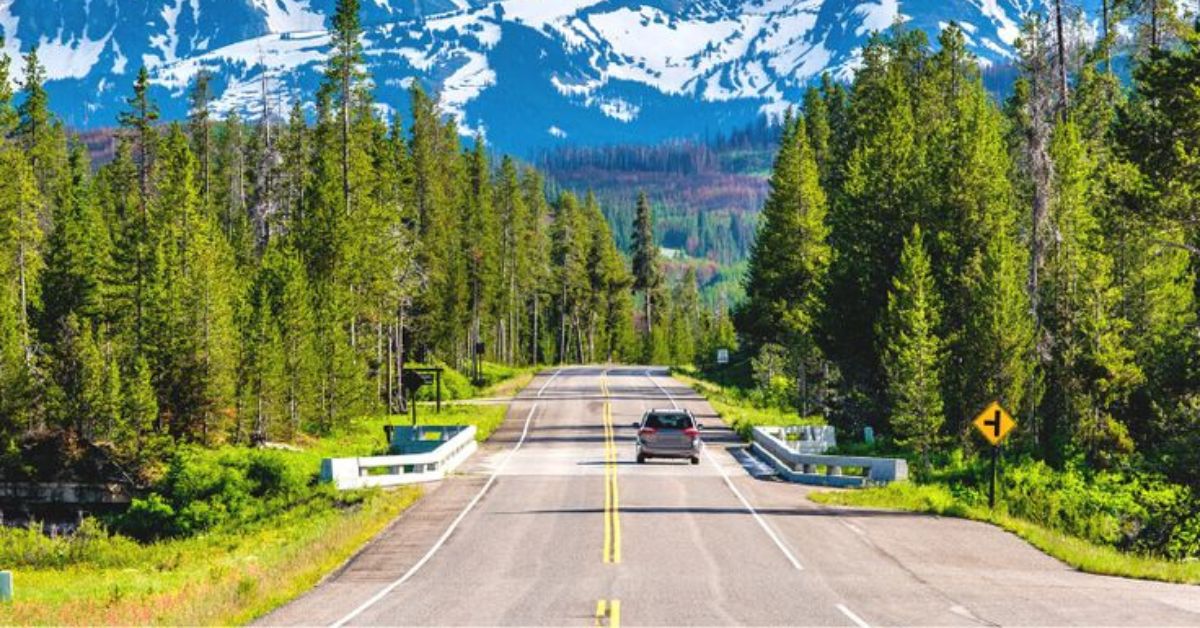 road trip ideas​